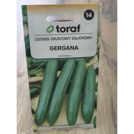 Ogórek gruntowy sałatkowy Gergana